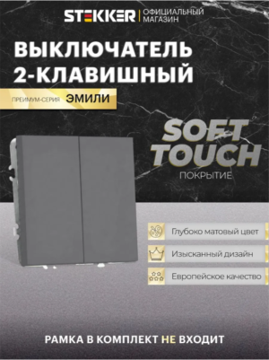 Выключатель двухклавишный Эмили (платиново-серый) / Stekker RSW10-5104-10