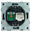Розетка TV +компьютерная RJ-45 Эмили (черный уголь) / Stekker RST00-5106-05