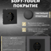 РОЗЕТКА С ЗАЗЕМЛЕНИЕМ И ЗАЩИТНЫМИ ШТОРКАМИ ЭМИЛИ (черный уголь) / Stekker RST16-5110-05