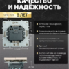 Выключатель двухклавишный Эмили (кашемир) / Stekker RSW10-5104-08