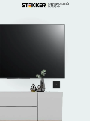 Розетка одноместная TV Эмили (черный уголь) / Stekker RST00-5108-05