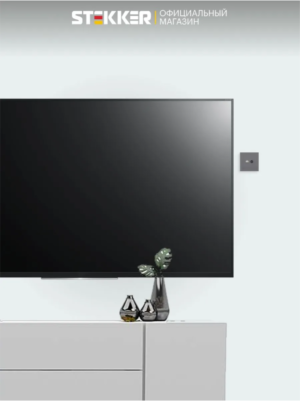 Розетка TV +компьютерная RJ-45 Эмили (платиново-серый) / Stekker RST00-5106-10