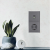 Розетка двойная USB + Type C Эмили (платиново-серый) / Stekker RST10-5115-10