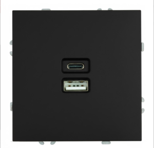 Розетка двойная USB + Type C Эмили (черный уголь) / Stekker RST10-5115-05
