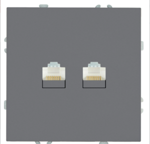 Розетка двухместная компьютерная RJ-45 двойная Эмили (платиново-серый) / Stekker RST00-5111-10