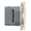 Розетка с заземлением и защитными шторками +USB + Type C Эмили (кашемир) / Stekker RST16-5119-08